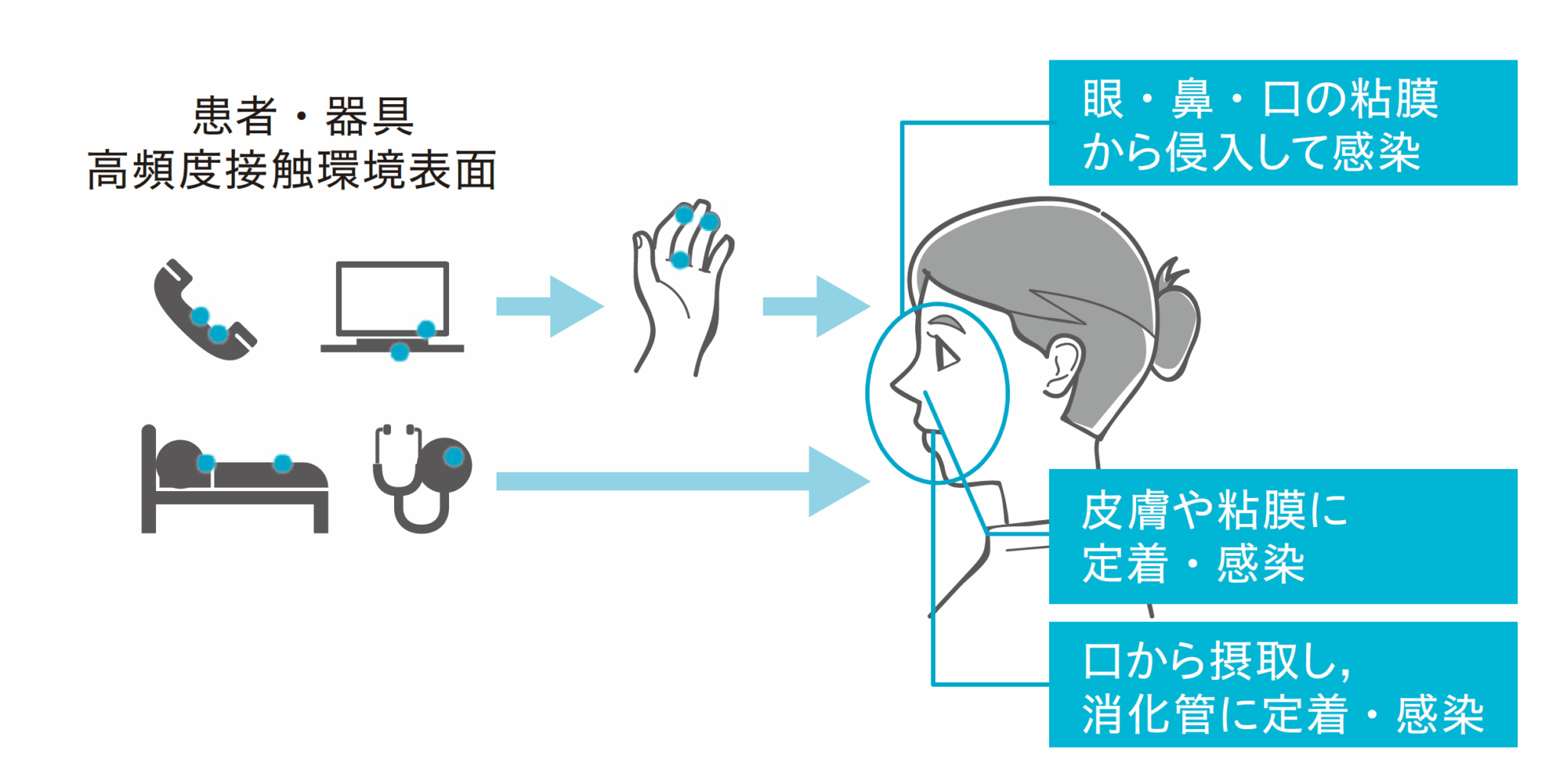 伝染病とは?感染症との違いや歴史・代表例を解説 - NEXT WELLNESS