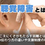 聴覚障害とは？