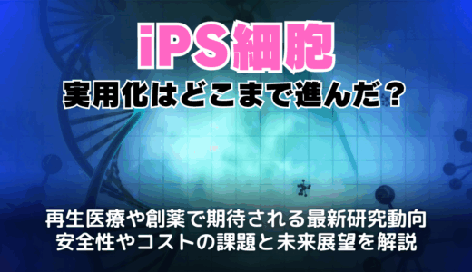 iPS細胞の実用化はどこまで進んだ？基礎知識から万博展示の話題まで完全整理