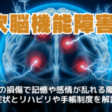 高次脳機能障害とは？