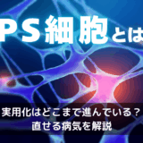 iPS細胞とは？実用化がどこまで進んでいるのか・山中伸弥さんがやったこと・直せる病気を解説