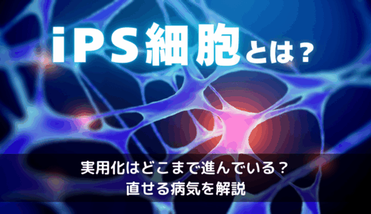 iPS細胞とは？実用化がどこまで進んでいるのか・山中伸弥さんがやったこと・直せる病気を解説